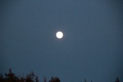 Daylight-Moon.jpg
