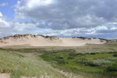 Moving-Crescent-Dune-in-Greenwich-Park-on-PEI