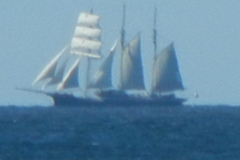 Tall-Ship-2017