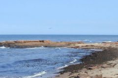 cropped-A-View-of-the-Beach-at-VY2ZM